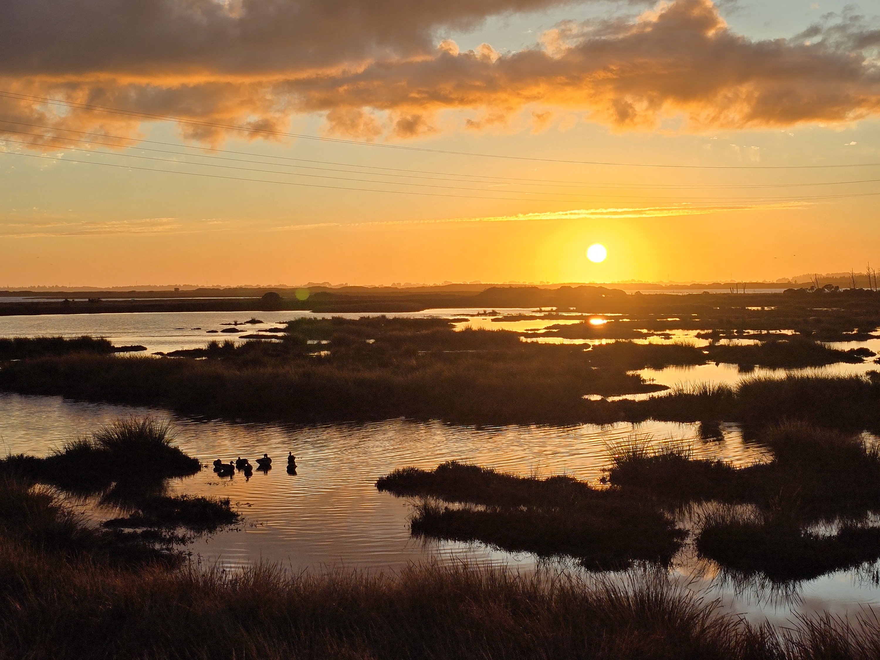 Sunset at Arcata Marsh