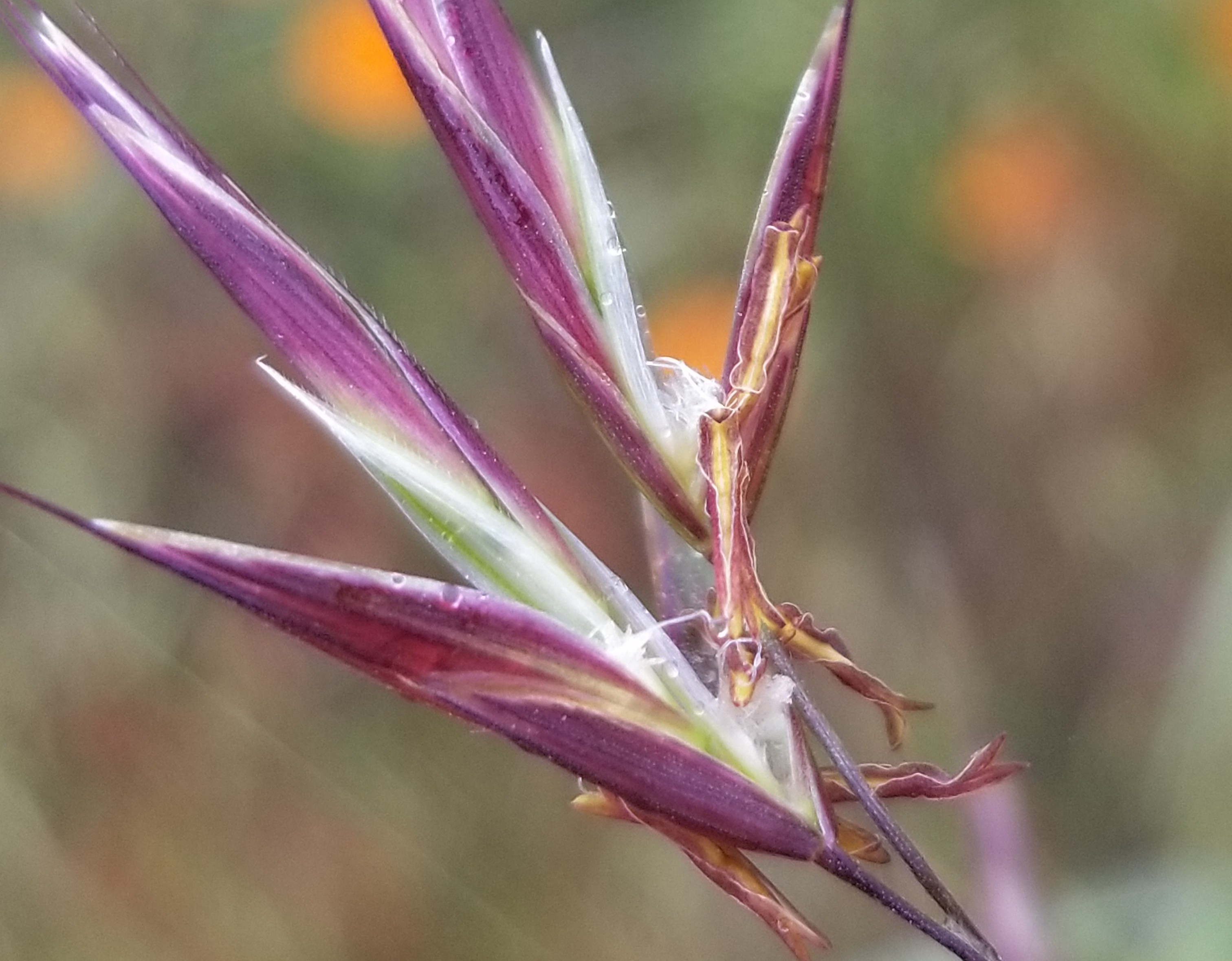Group photo after the last lab meeting of the year