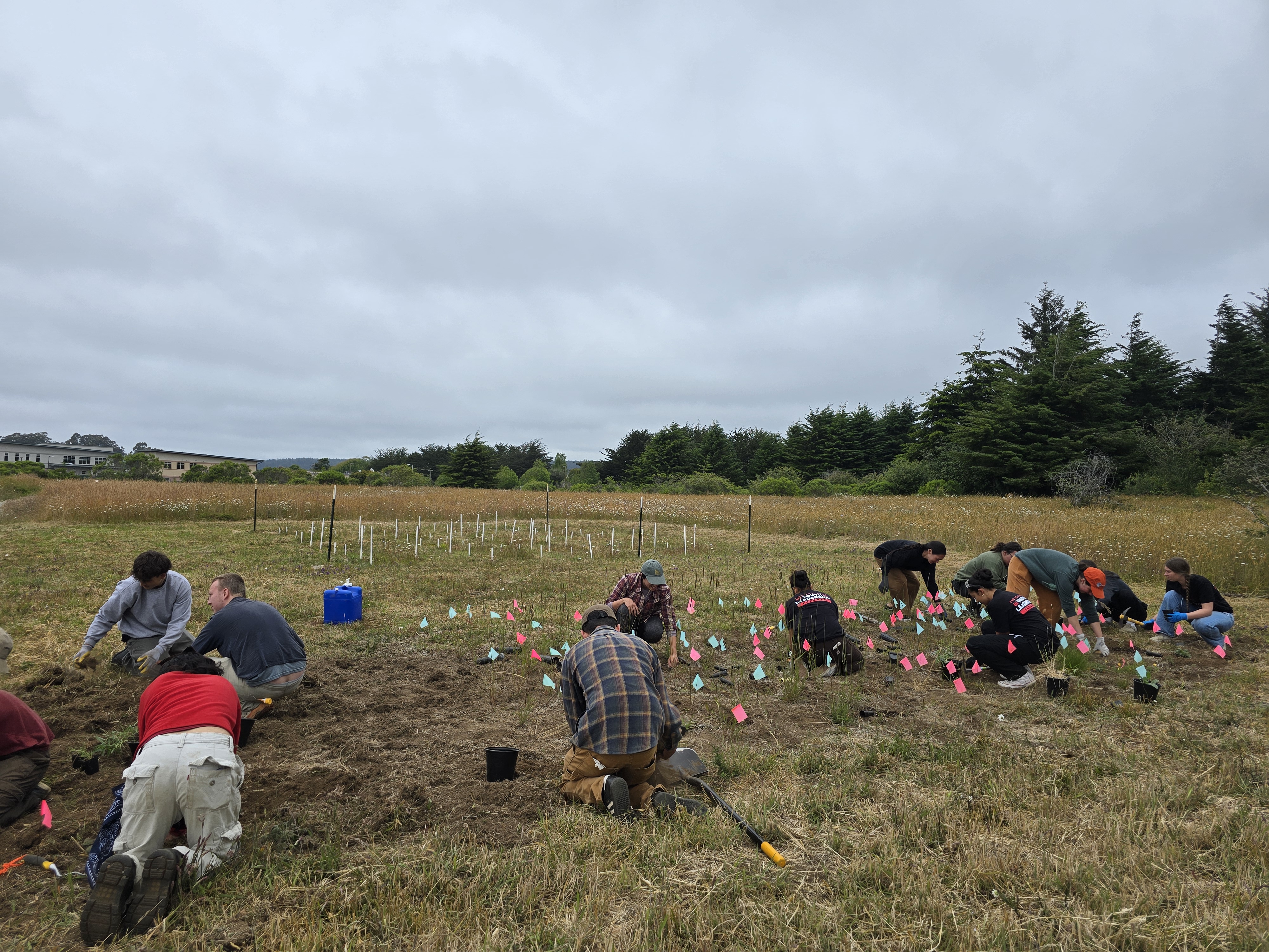 The lab working with Tribal Youth Leadership to conduct grassland restoration